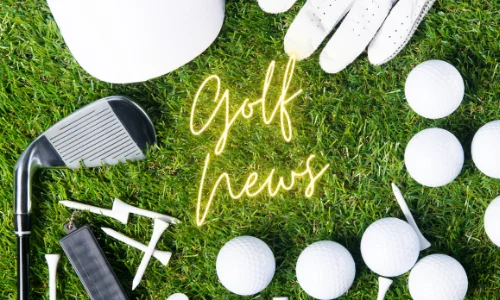 McIlroy wins at the Wells Fargo Championship