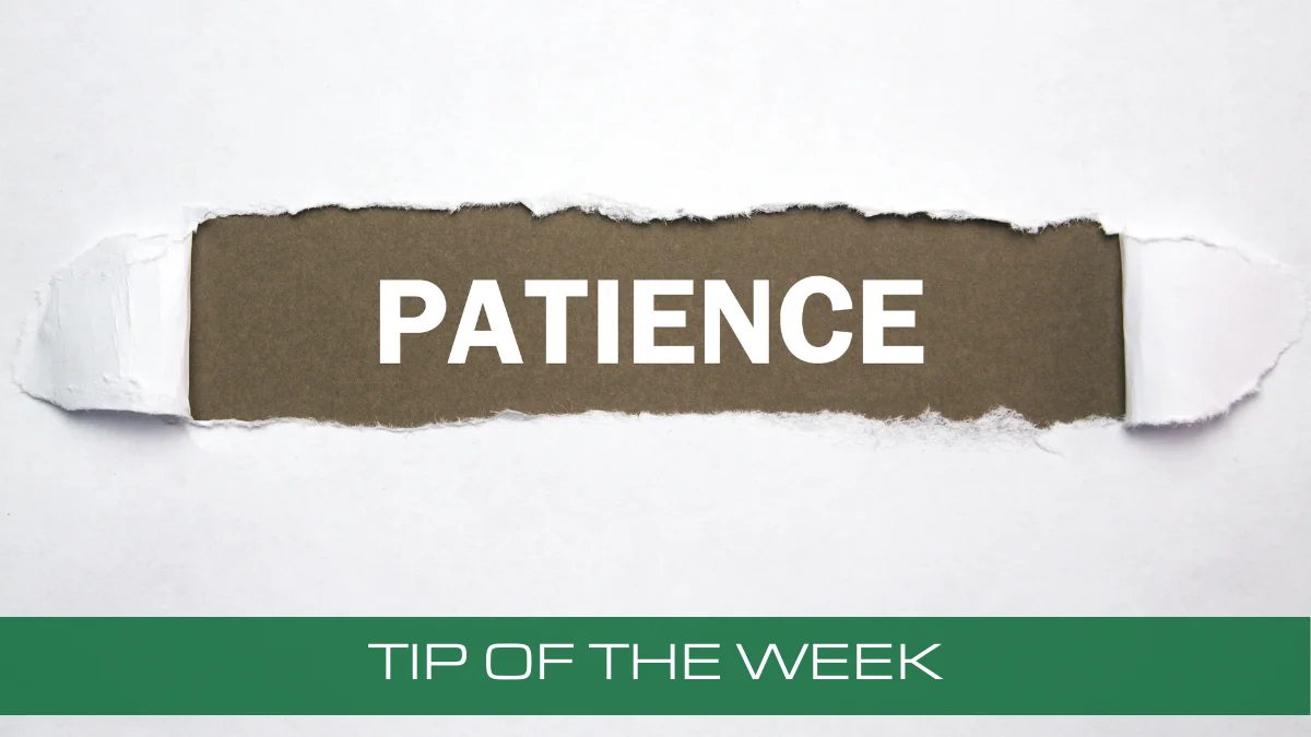Stay Patient